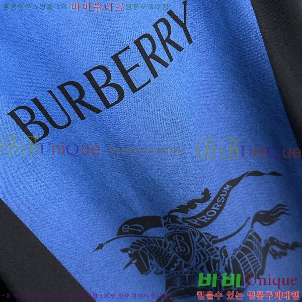    Ƽ BU2910543-2