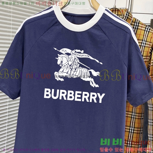    Ƽ BU256481-2