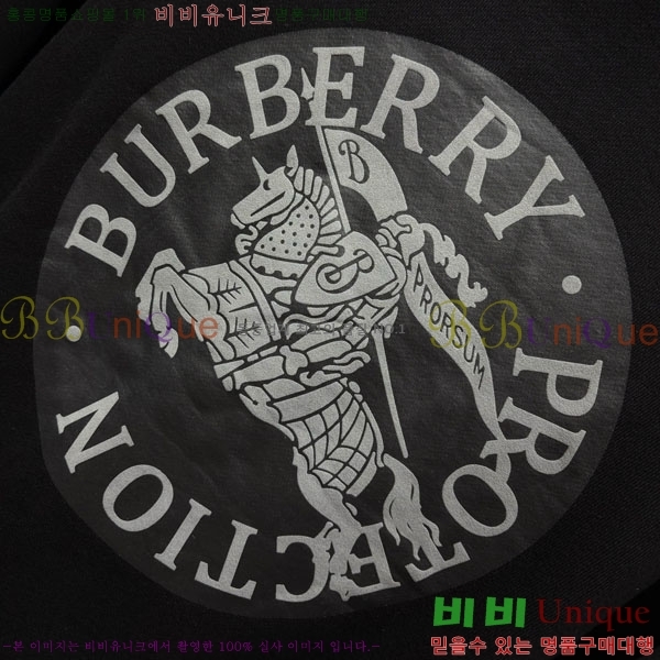   ĵƼ BU517095-1