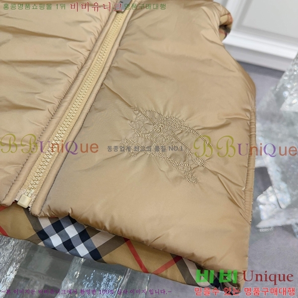 Ű  淮 е  BU3156279