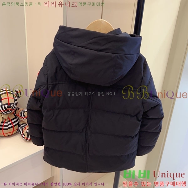 Ű ĳٱ ٿ е CN3681634