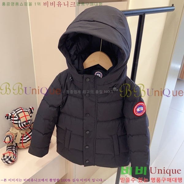 Ű ĳٱ ٿ е CN3681634