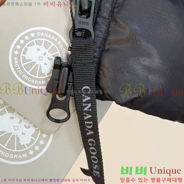  ĳٱ ٿ е CAG215557-1