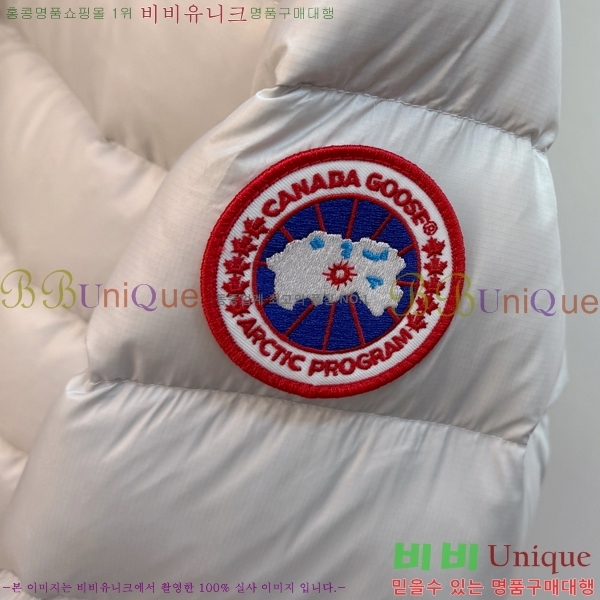  ĳٱ ٿ е CAG215557-2