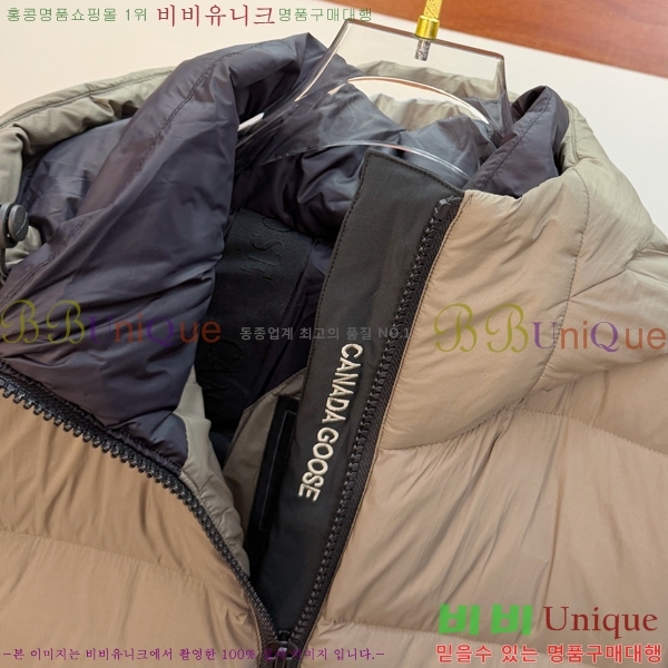  ĳٱ ٿ е CAG215558-1